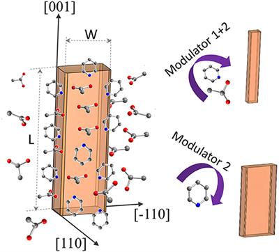 Impact of Crystal Size and Morphology on Switchability Characteristics in Pillared-Layer Metal-Organic Framework DUT-8(Ni)